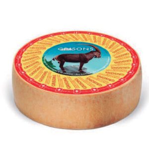 Montagnard Grisons Rueda